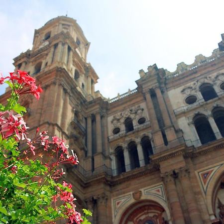 Stays Rosaleda Málaga Dış mekan fotoğraf